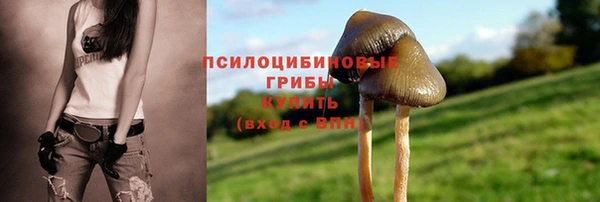 гидропоника Алексин