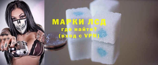 стаф Алзамай