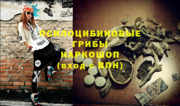 стаф Алзамай