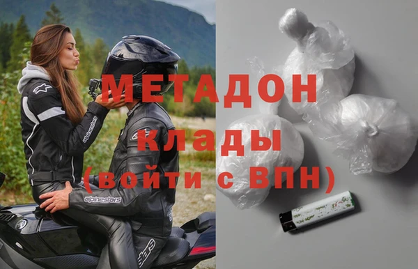 стаф Алзамай