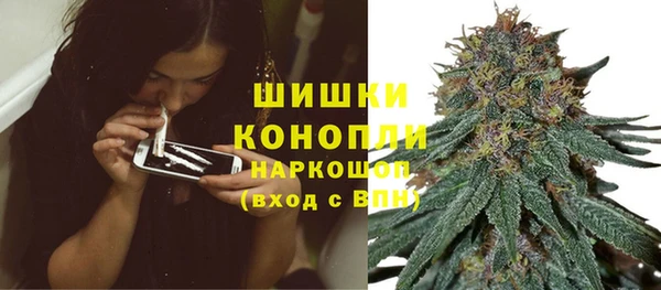 мет Дмитров